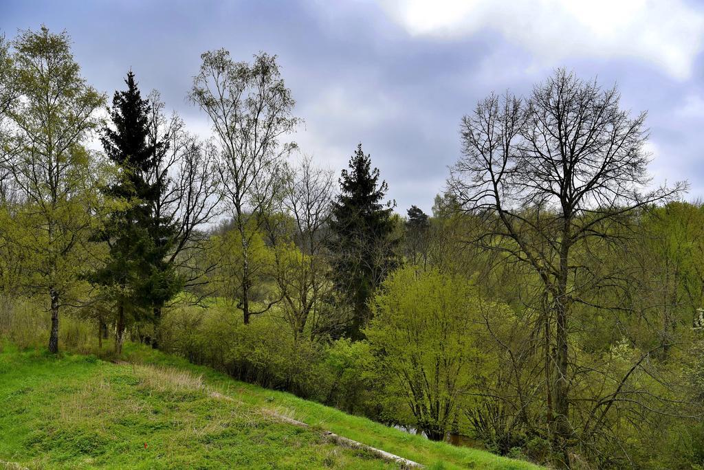 Holiday Home Turovec Табор Екстер'єр фото